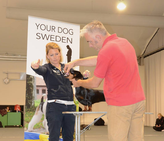 BORDSHUND - Drop-in utställningsträning i Västerås (inomhus)