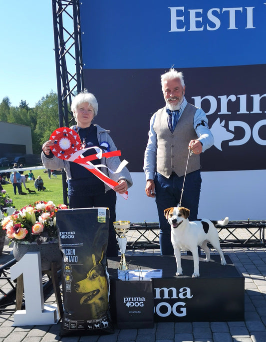 Start 29/10 Valp/unghundskurs i Stockholm Södra - inomhus