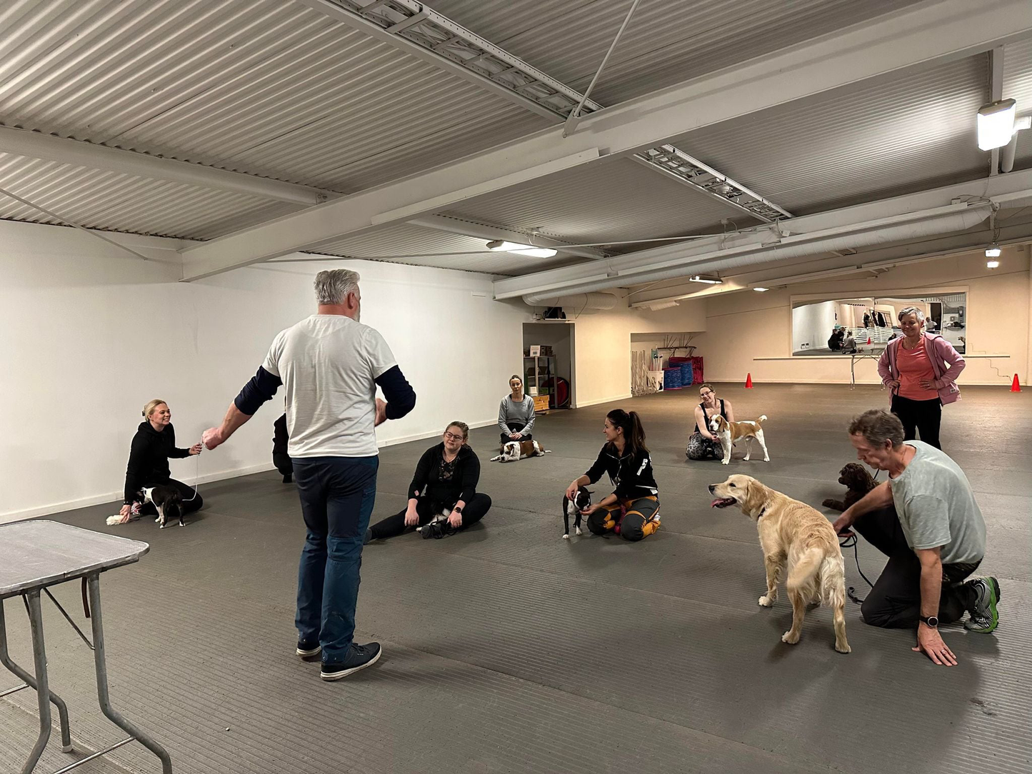 Start 11/3 Valp/unghundskurs i Stockholm Södra - inomhus