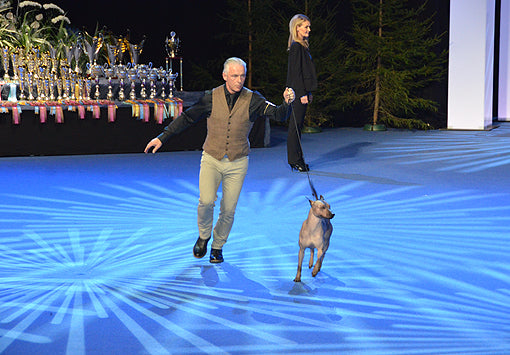 27-28/12: Helgkurs i utställningsträning i Göteborg