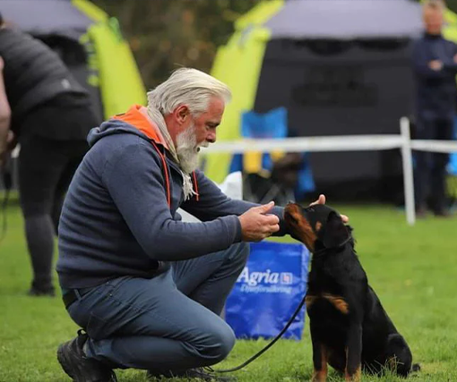 8-9/10: Rottweiler hvalpekursus i Karltorp (Arboga/Örebro)