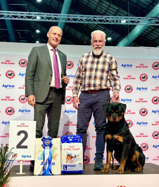 18-19/4: Helgkurs i utställningsträning i Göteborg